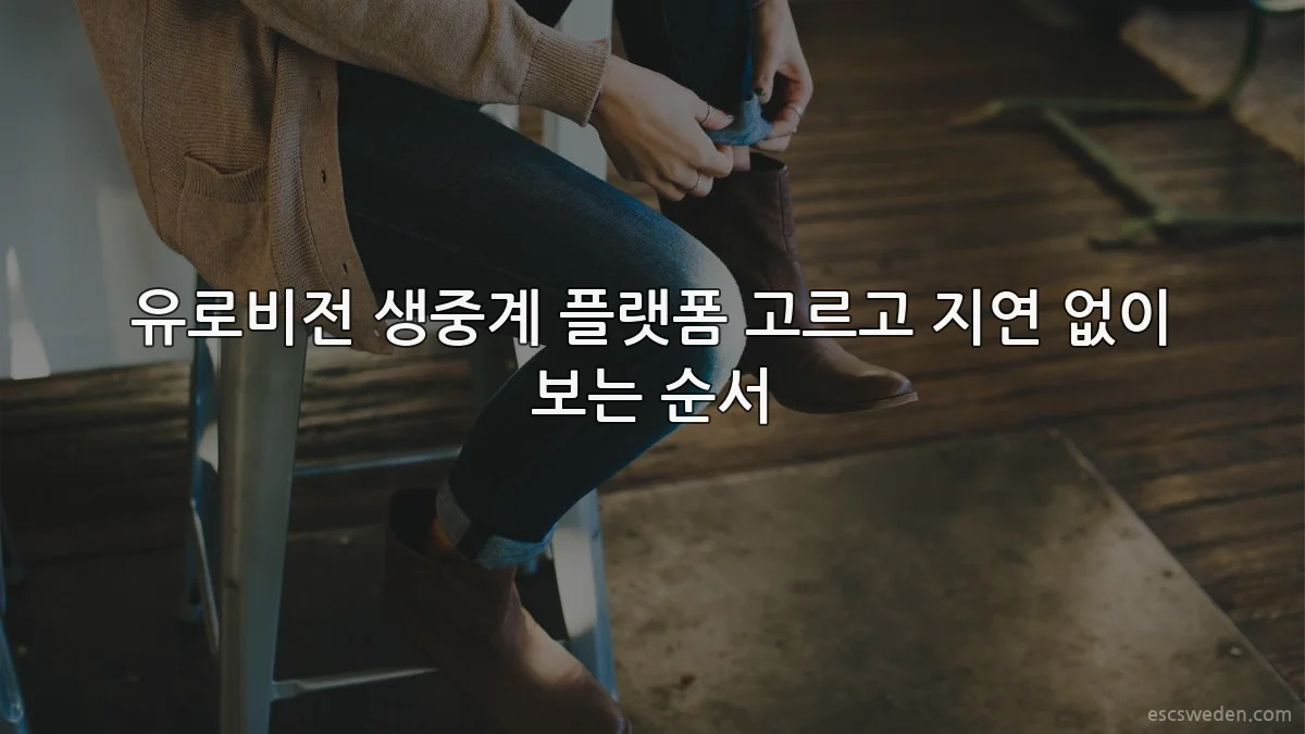 유로비전 생중계 플랫폼 고르고 지연 없이 보는 순서
