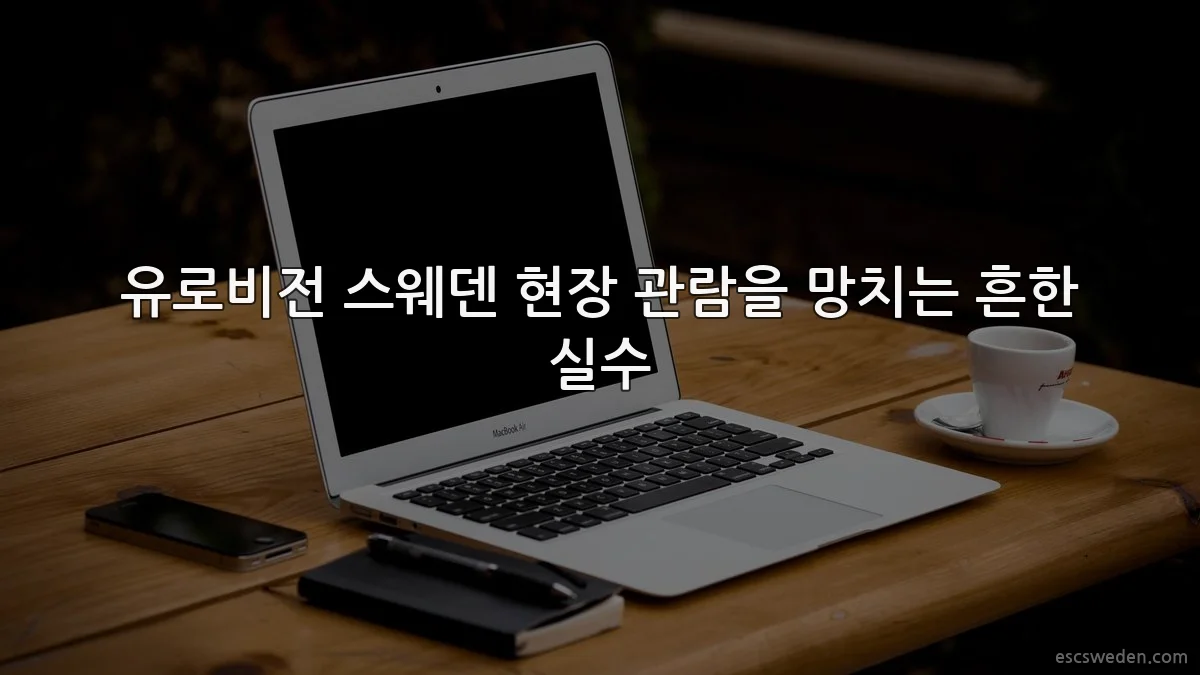 유로비전 스웨덴 현장 관람을 망치는 흔한 실수