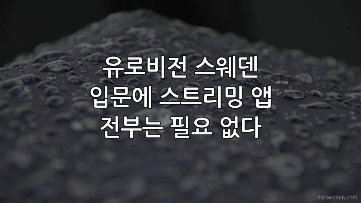 유로비전 스웨덴 입문에 스트리밍 앱 전부는 필요 없다