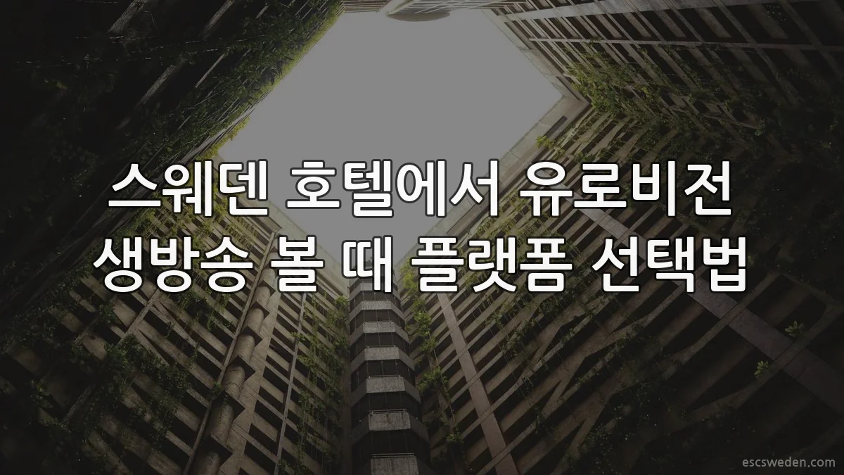 스웨덴 호텔에서 유로비전 생방송 볼 때 플랫폼 선택법