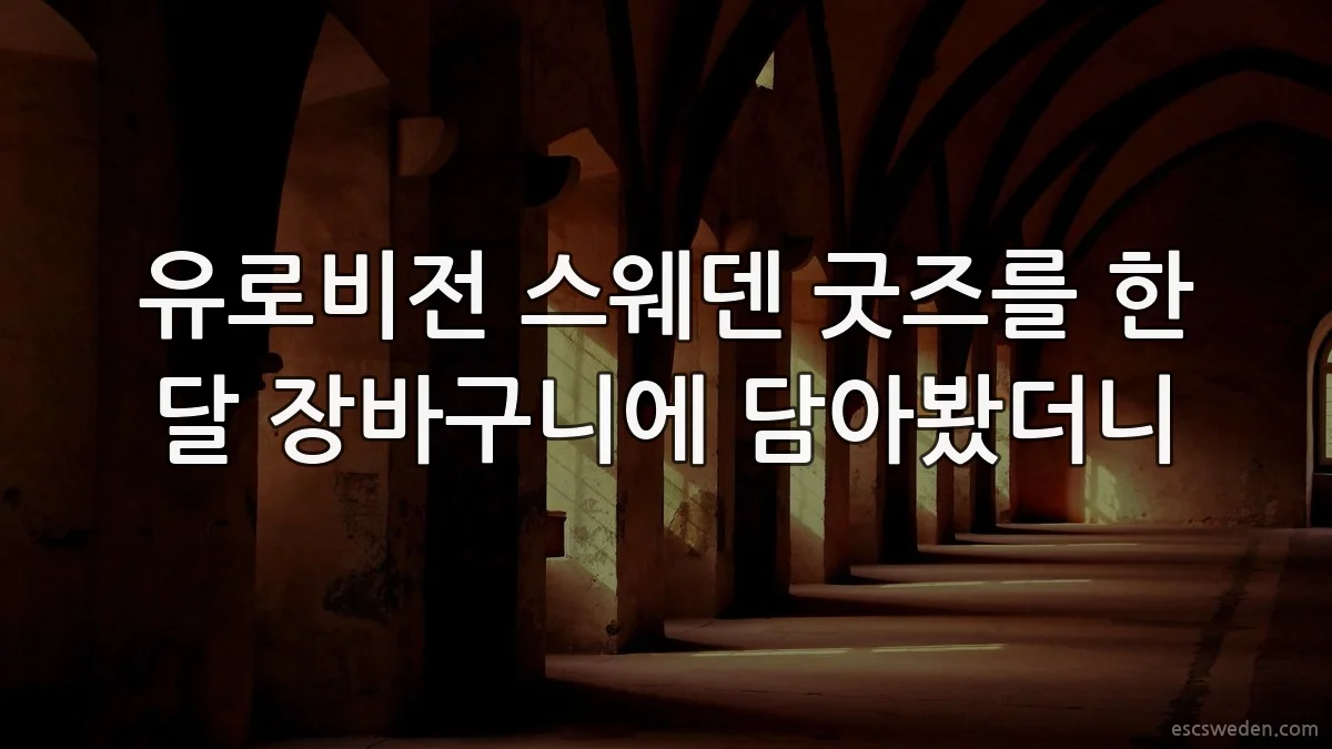 유로비전 스웨덴 굿즈를 한 달 장바구니에 담아봤더니