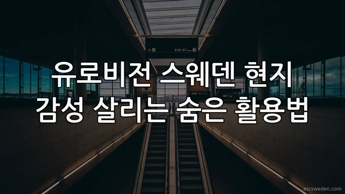 유로비전 스웨덴 현지 감성 살리는 숨은 활용법