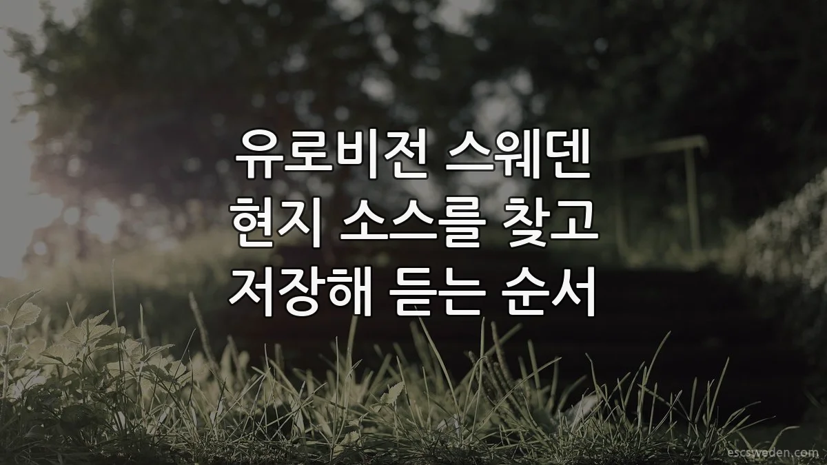 유로비전 스웨덴 현지 소스를 찾고 저장해 듣는 순서