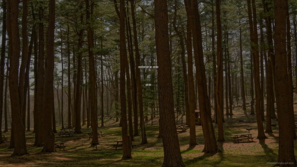 이시아폴리스 더샵 4차, 주거 시설 비교 분석