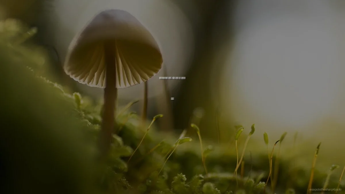 이시아폴리스 더샵 4차 입주 시 장단점 분석