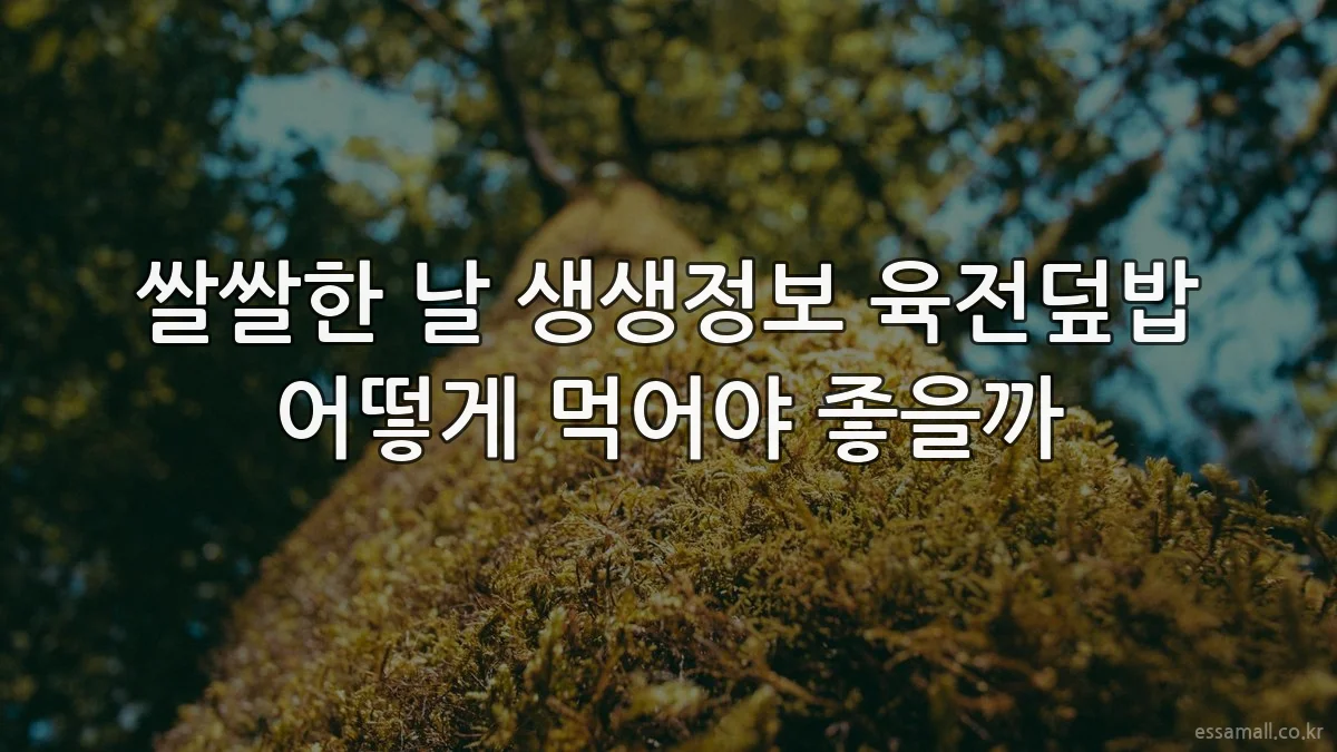 쌀쌀한 날 생생정보 육전덮밥 어떻게 먹어야 좋을까