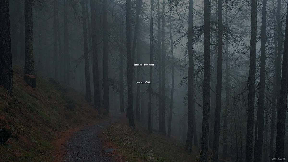 피부 고민 해결! 전문가가 추천하는 스킨케어 루틴 Q&A