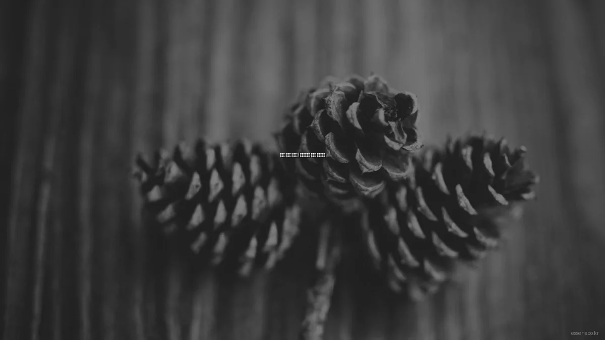 피부 손상 방지! 스킨케어 실수 총정리