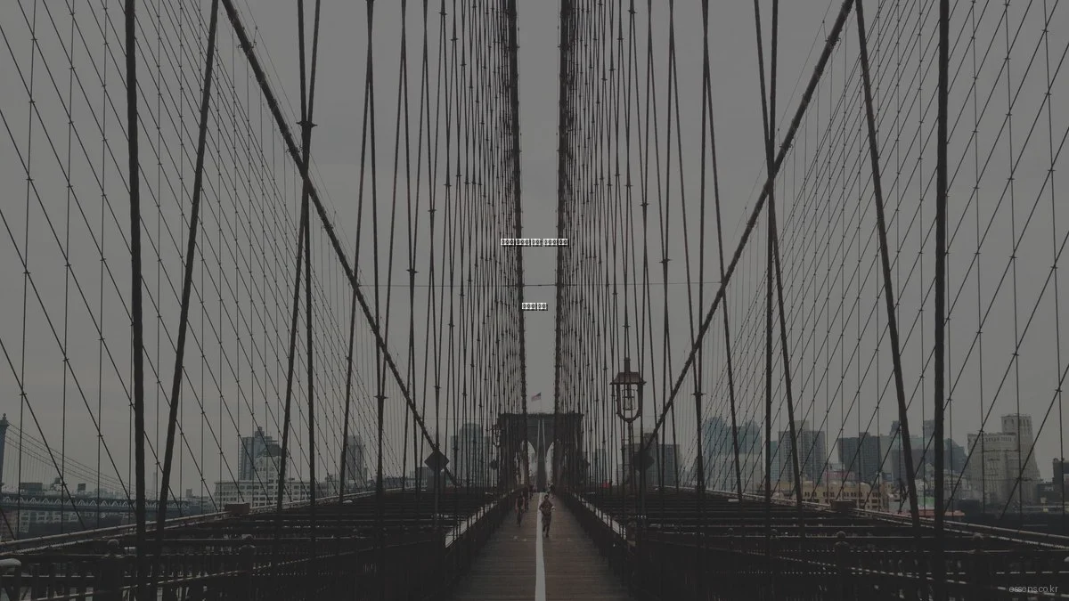 에센스 단계별 추천: 예산에 맞는 최적의 선택