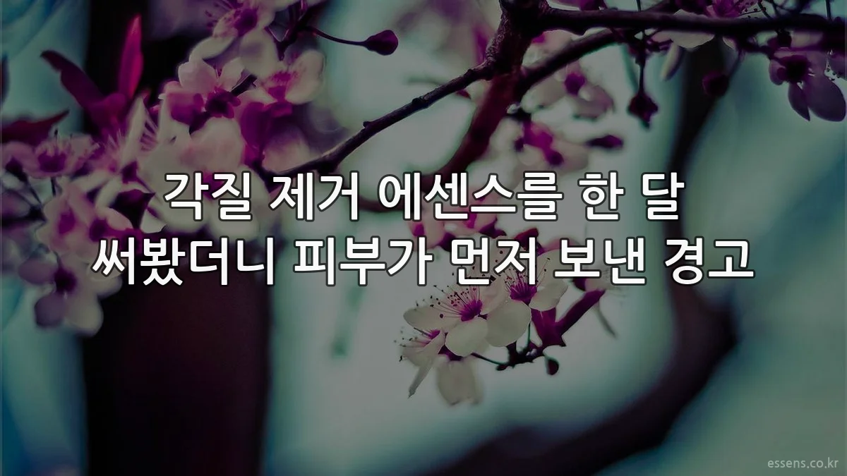각질 제거 에센스를 한 달 써봤더니 피부가 먼저 보낸 경고