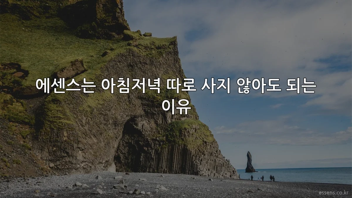 에센스는 아침저녁 따로 사지 않아도 되는 이유