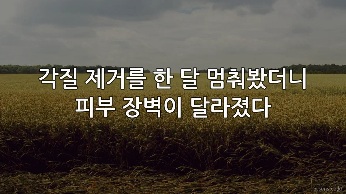 각질 제거를 한 달 멈춰봤더니 피부 장벽이 달라졌다