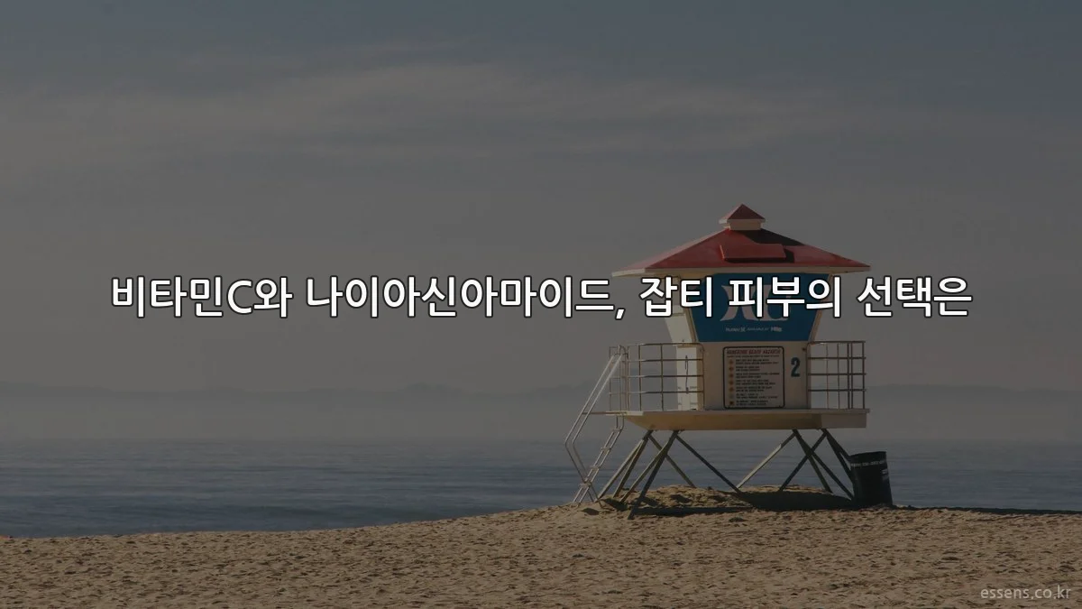비타민C와 나이아신아마이드, 잡티 피부의 선택은