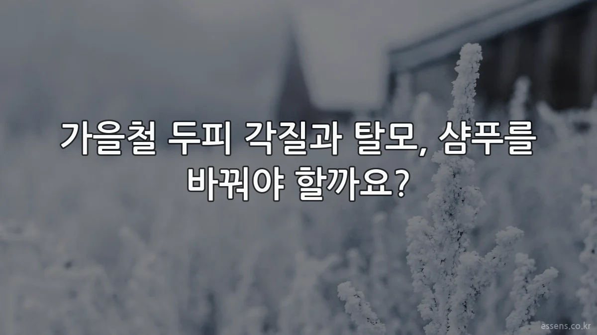 가을철 두피 각질과 탈모, 샴푸를 바꿔야 할까요?