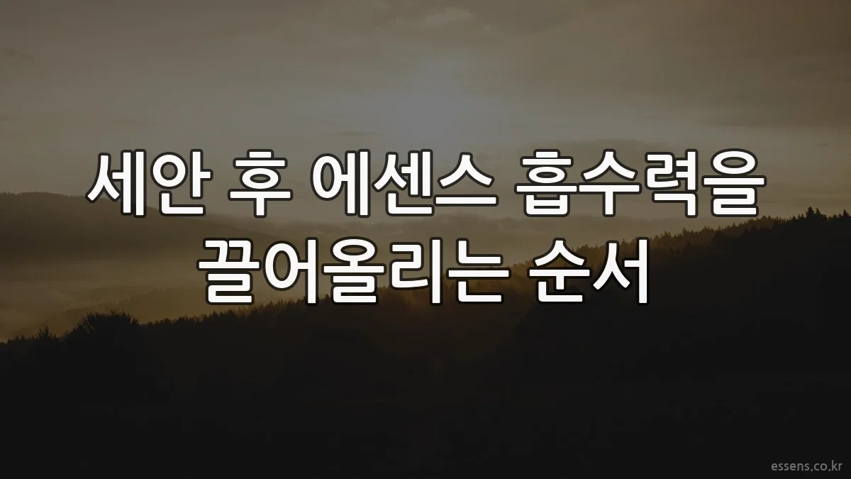 세안 후 에센스 흡수력을 끌어올리는 순서
