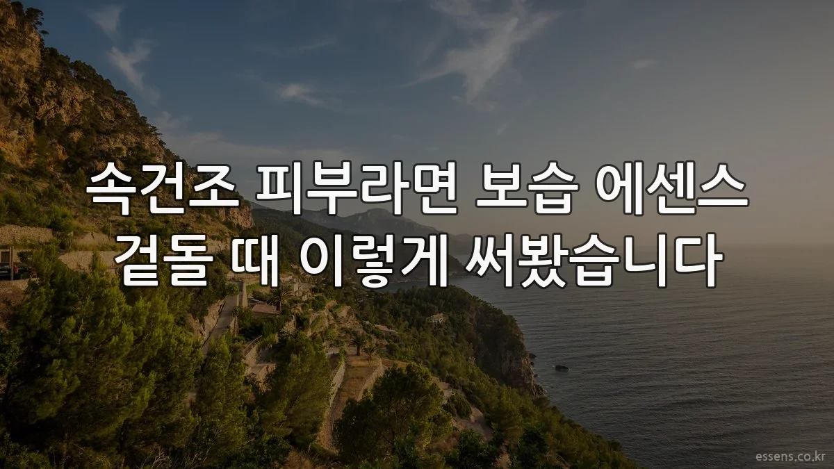 속건조 피부라면 보습 에센스 겉돌 때 이렇게 써봤습니다