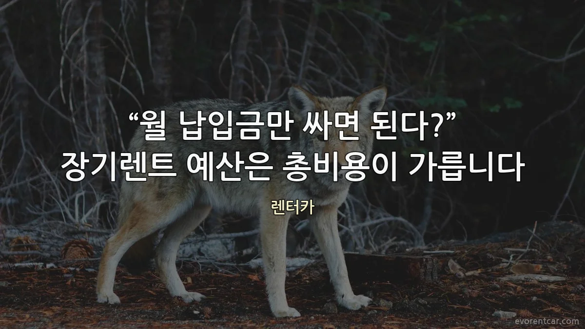 “월 납입금만 싸면 된다?” 장기렌트 예산은 총비용이 가릅니다