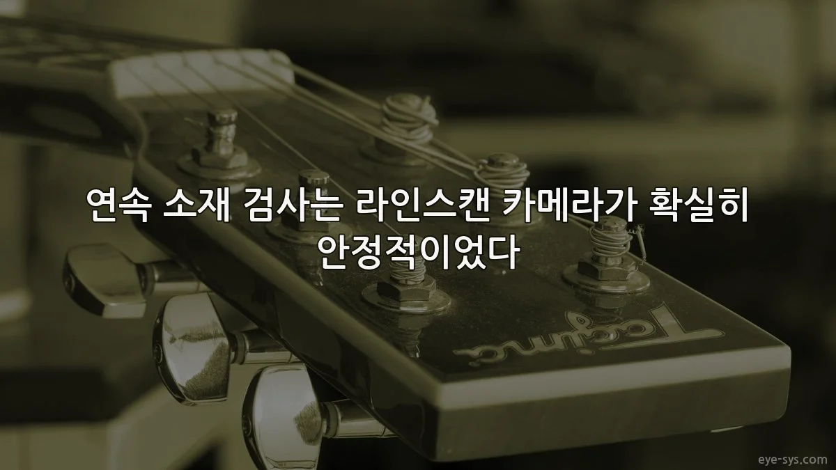 연속 소재 검사는 라인스캔 카메라가 확실히 안정적이었다