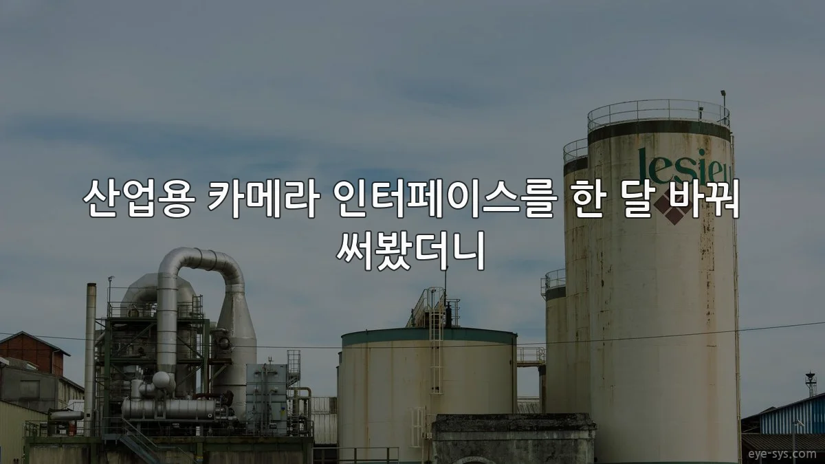 산업용 카메라 인터페이스를 한 달 바꿔 써봤더니