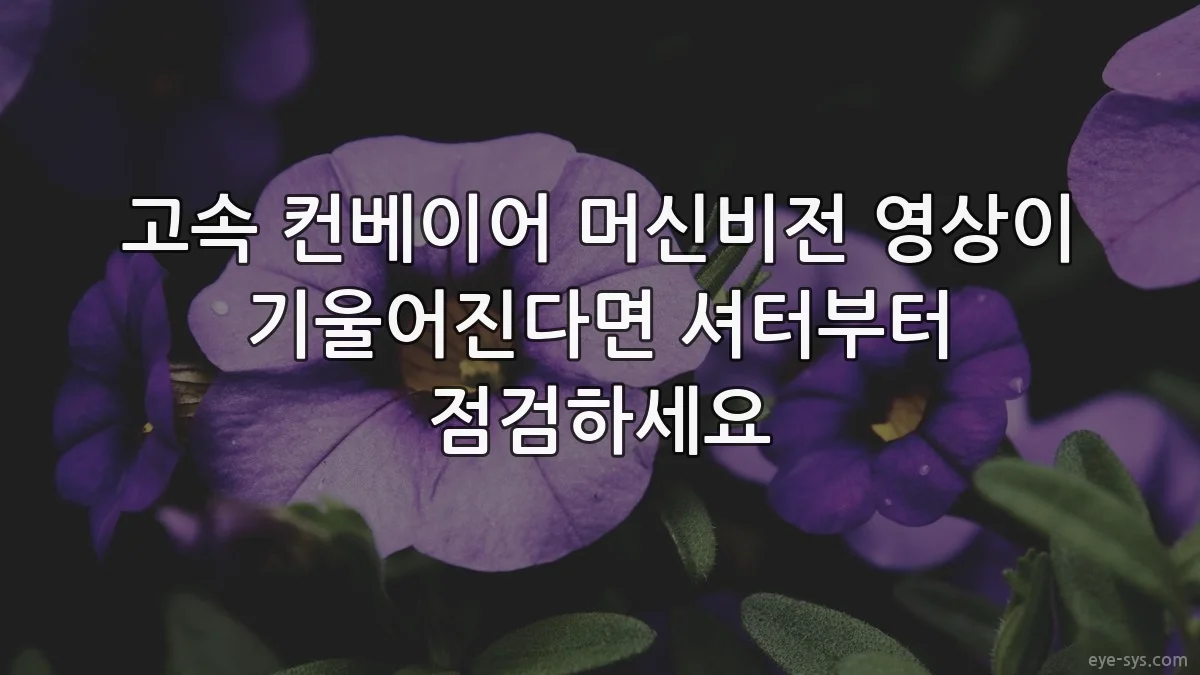 고속 컨베이어 머신비전 영상이 기울어진다면 셔터부터 점검하세요