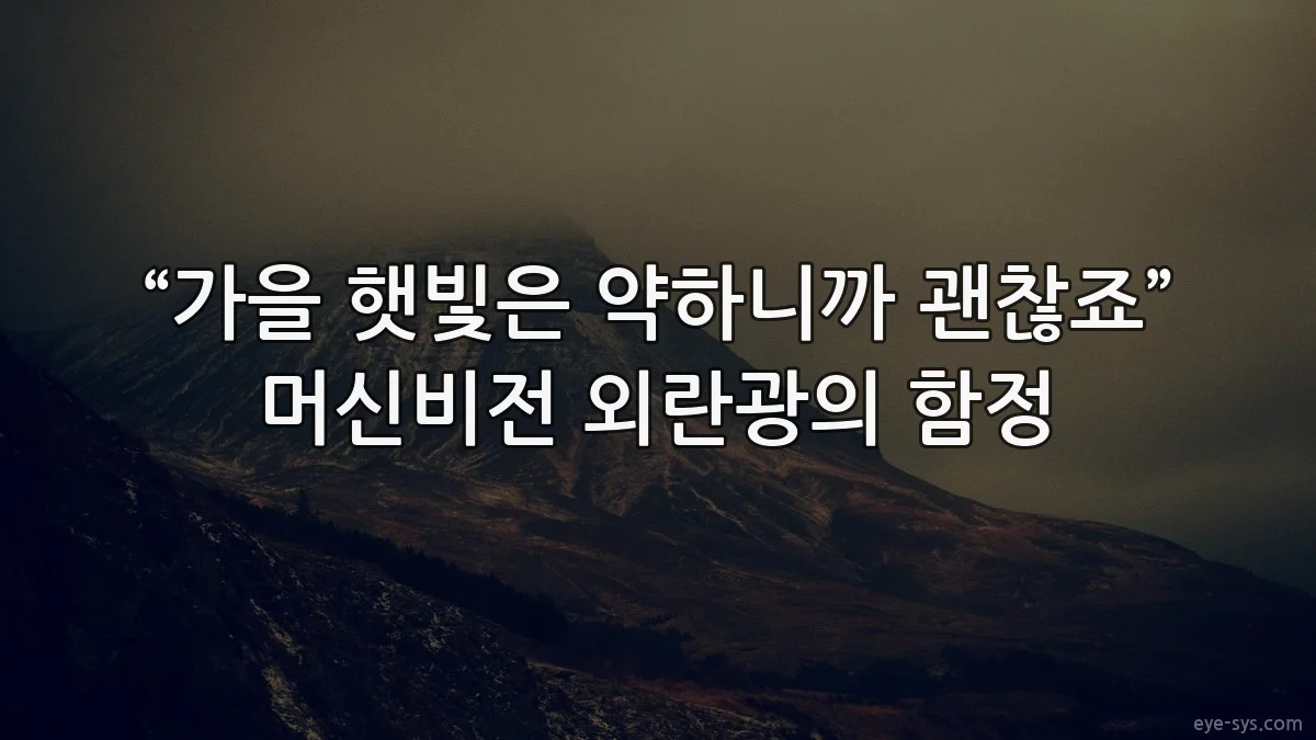 “가을 햇빛은 약하니까 괜찮죠” 머신비전 외란광의 함정