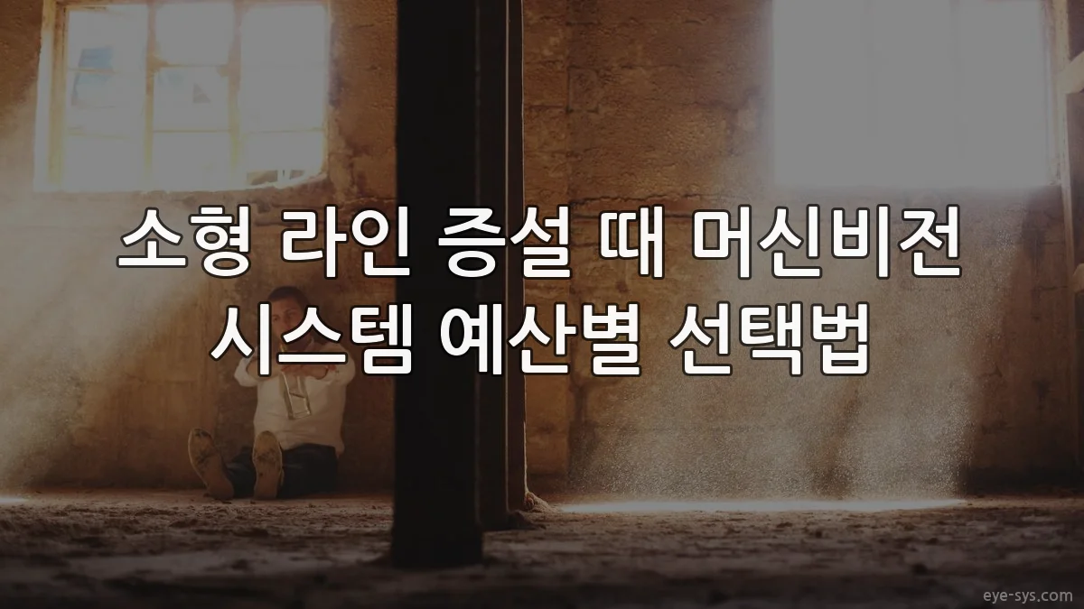 소형 라인 증설 때 머신비전 시스템 예산별 선택법