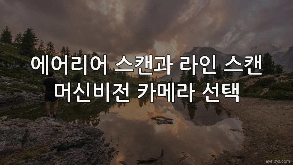 에어리어 스캔과 라인 스캔 머신비전 카메라 선택