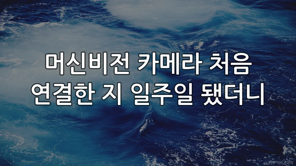 머신비전 카메라 처음 연결한 지 일주일 됐더니