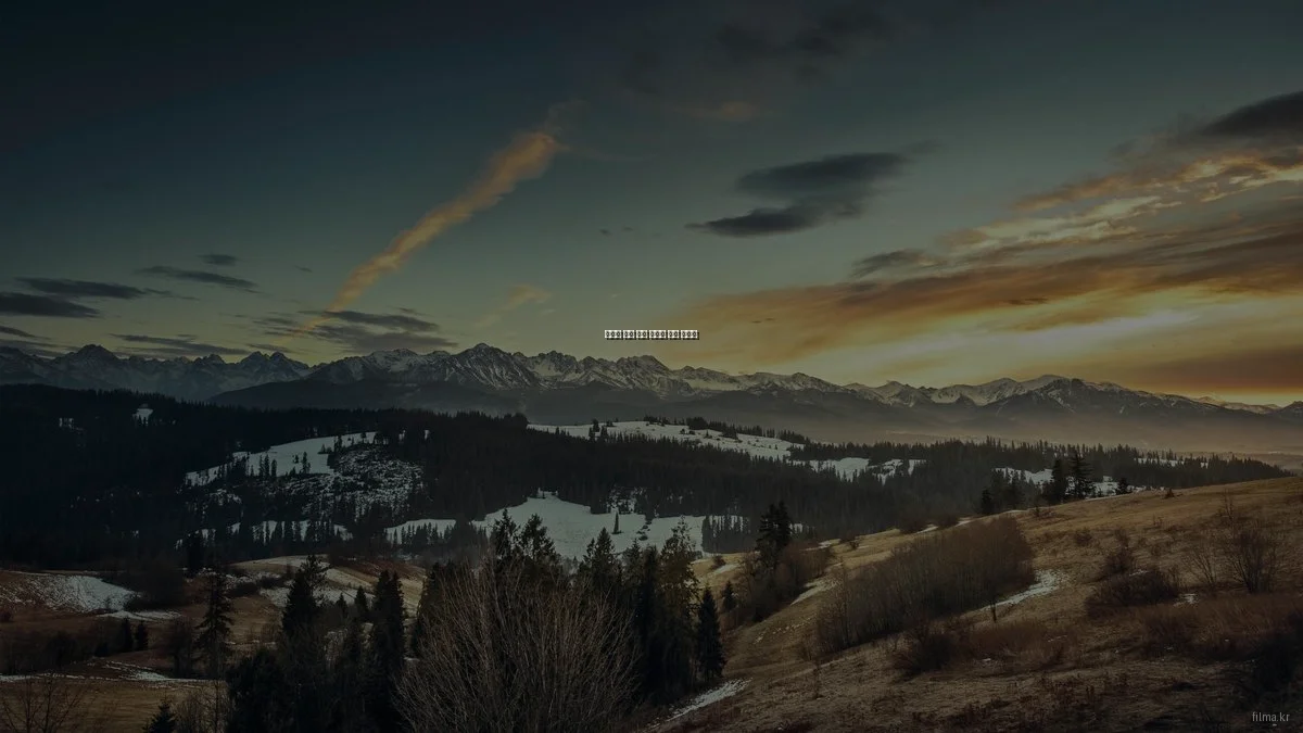 겨울철 필수 영화 추천과 감상 가이드