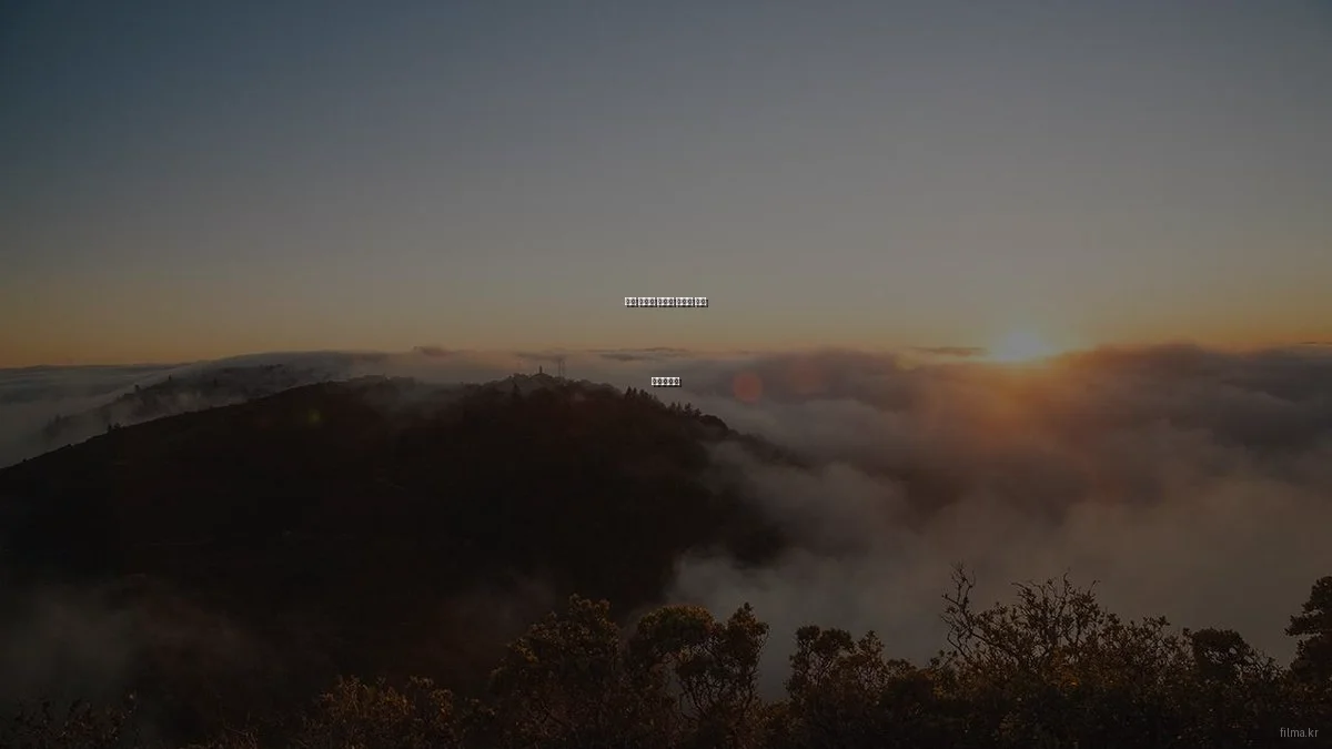 최신 영화를 제대로 즐기는 필수 체크리스트