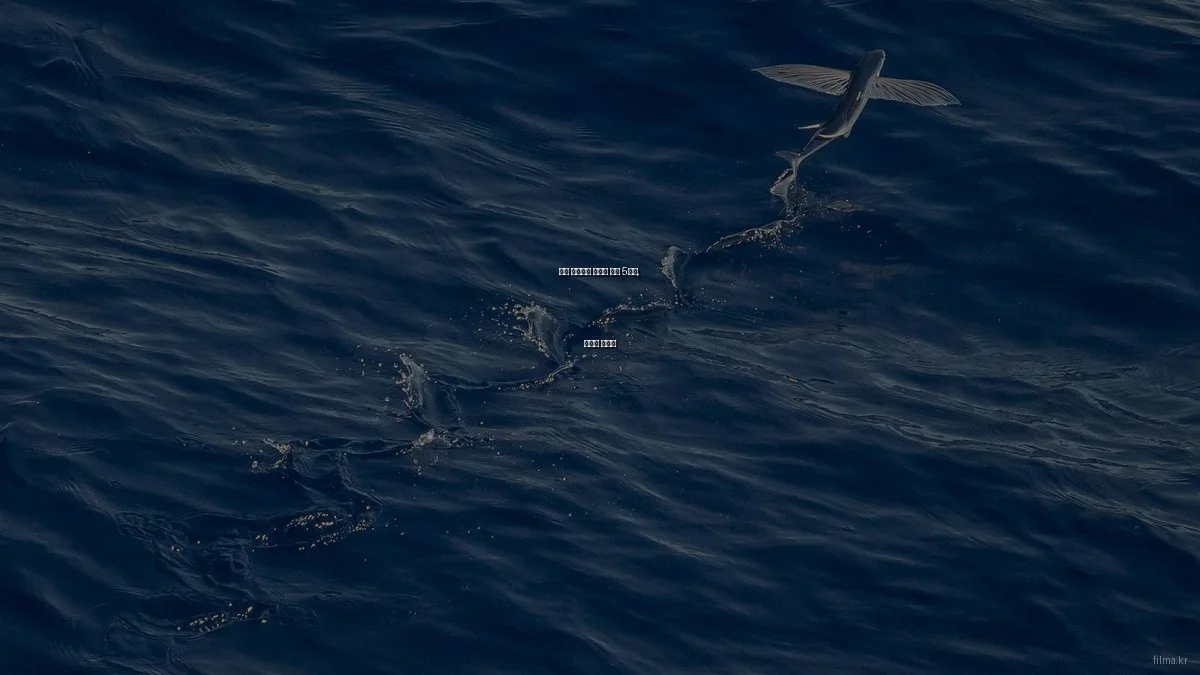 영화 제작에서 숨겨진 꿀팁 5가지, 몰랐던 활용법