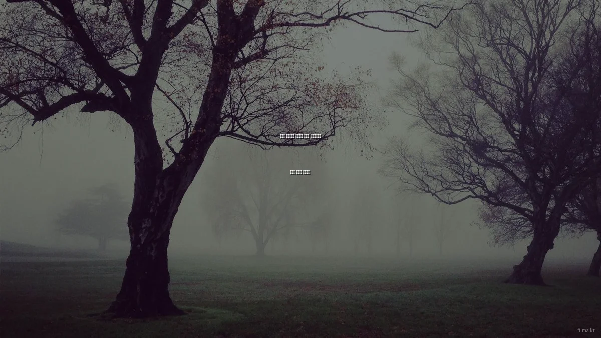 영화 관람의 새로운 시작, 초보자를 위한 필수 가이드