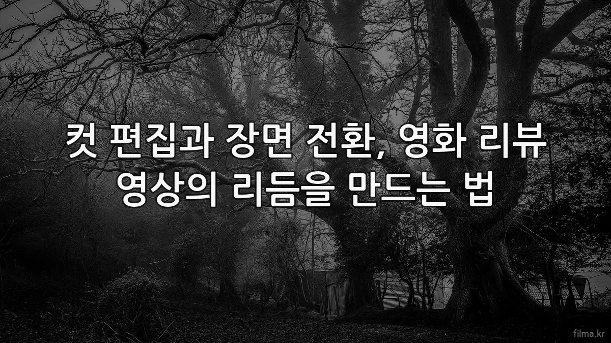 컷 편집과 장면 전환, 영화 리뷰 영상의 리듬을 만드는 법
