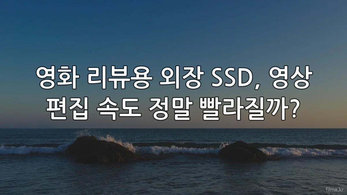 영화 리뷰용 외장 SSD, 영상 편집 속도 정말 빨라질까?