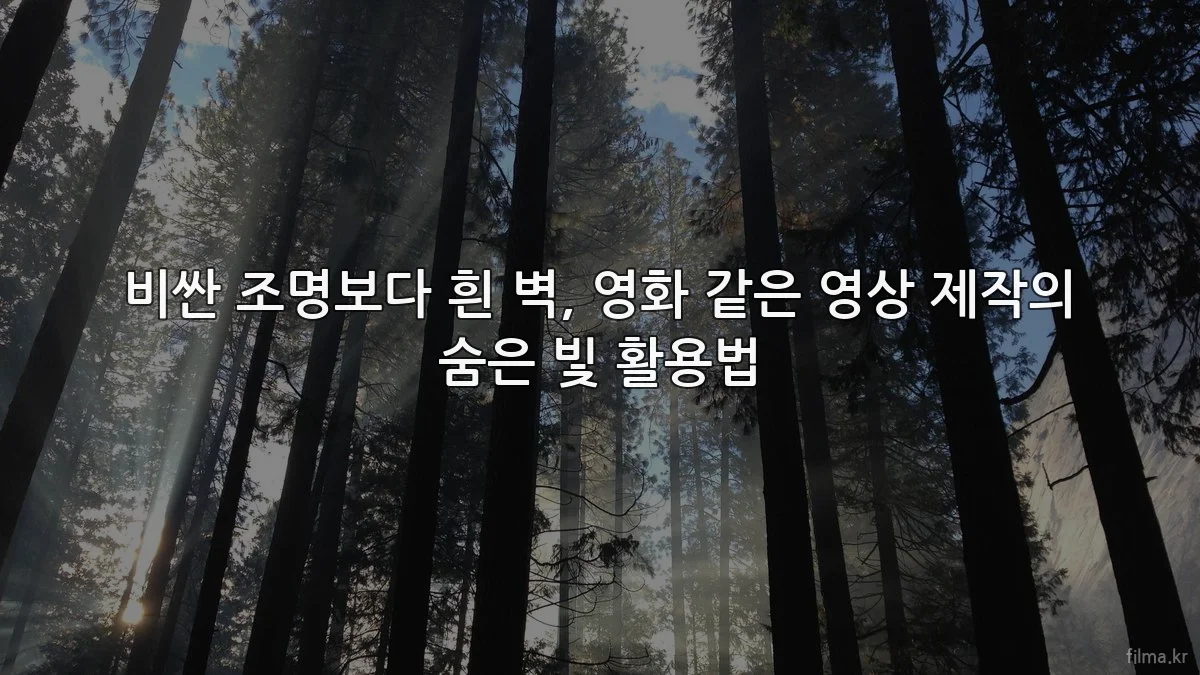 비싼 조명보다 흰 벽, 영화 같은 영상 제작의 숨은 빛 활용법