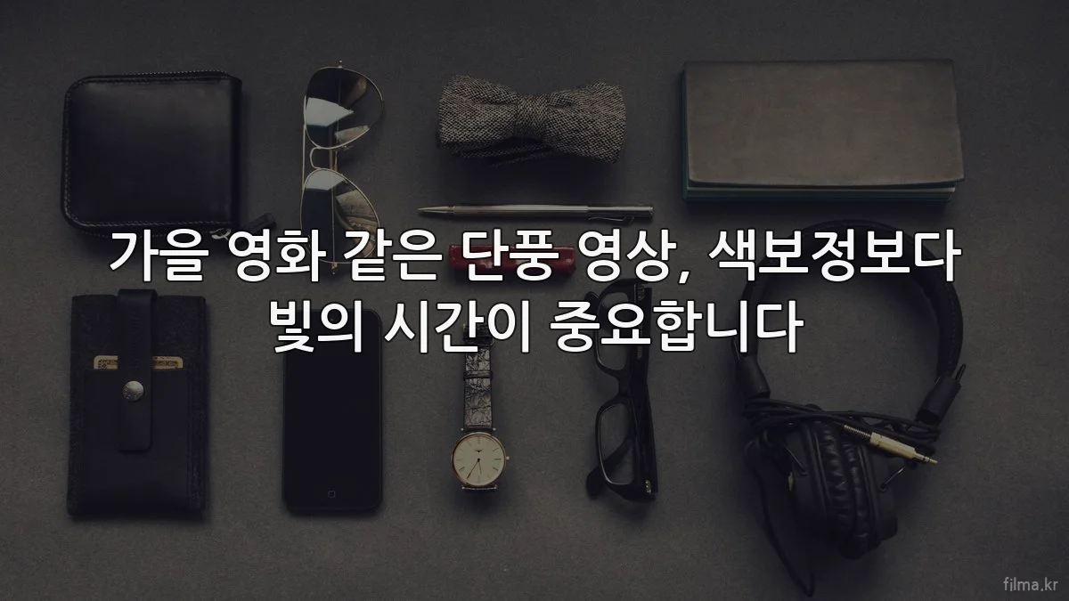 가을 영화 같은 단풍 영상, 색보정보다 빛의 시간이 중요합니다