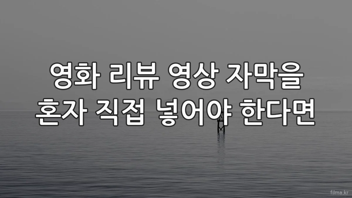 영화 리뷰 영상 자막을 혼자 직접 넣어야 한다면