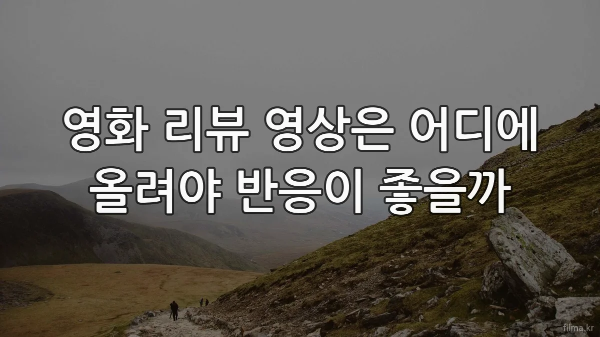 영화 리뷰 영상은 어디에 올려야 반응이 좋을까