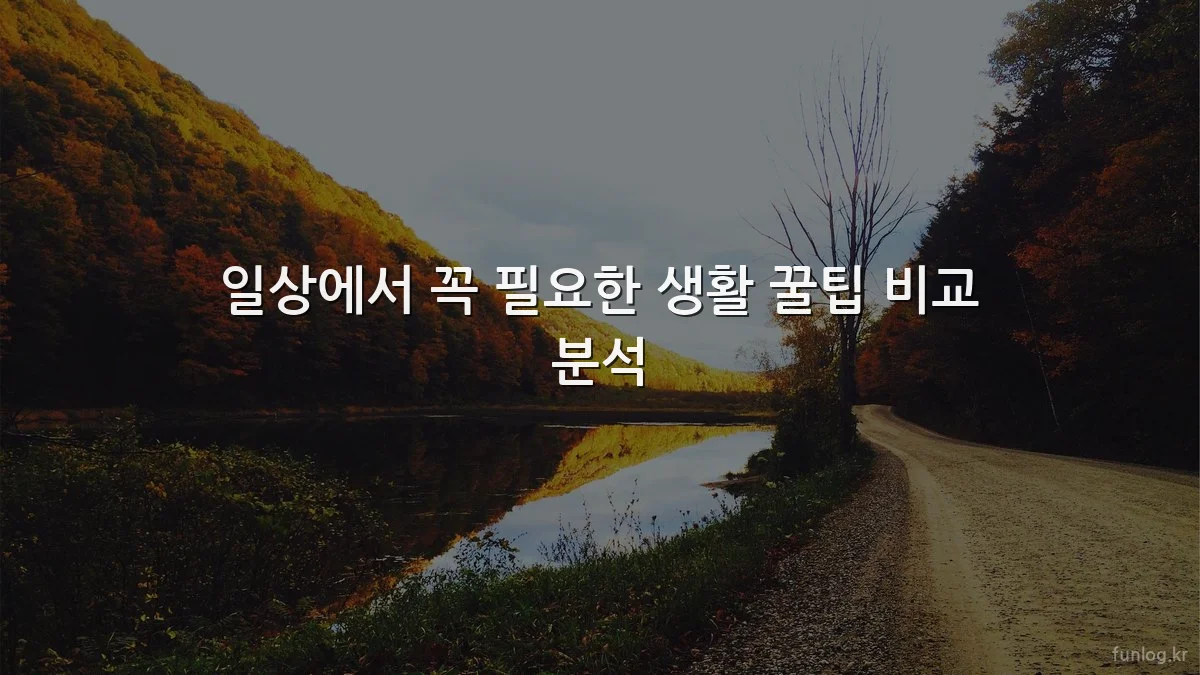 일상에서 꼭 필요한 생활 꿀팁 비교 분석