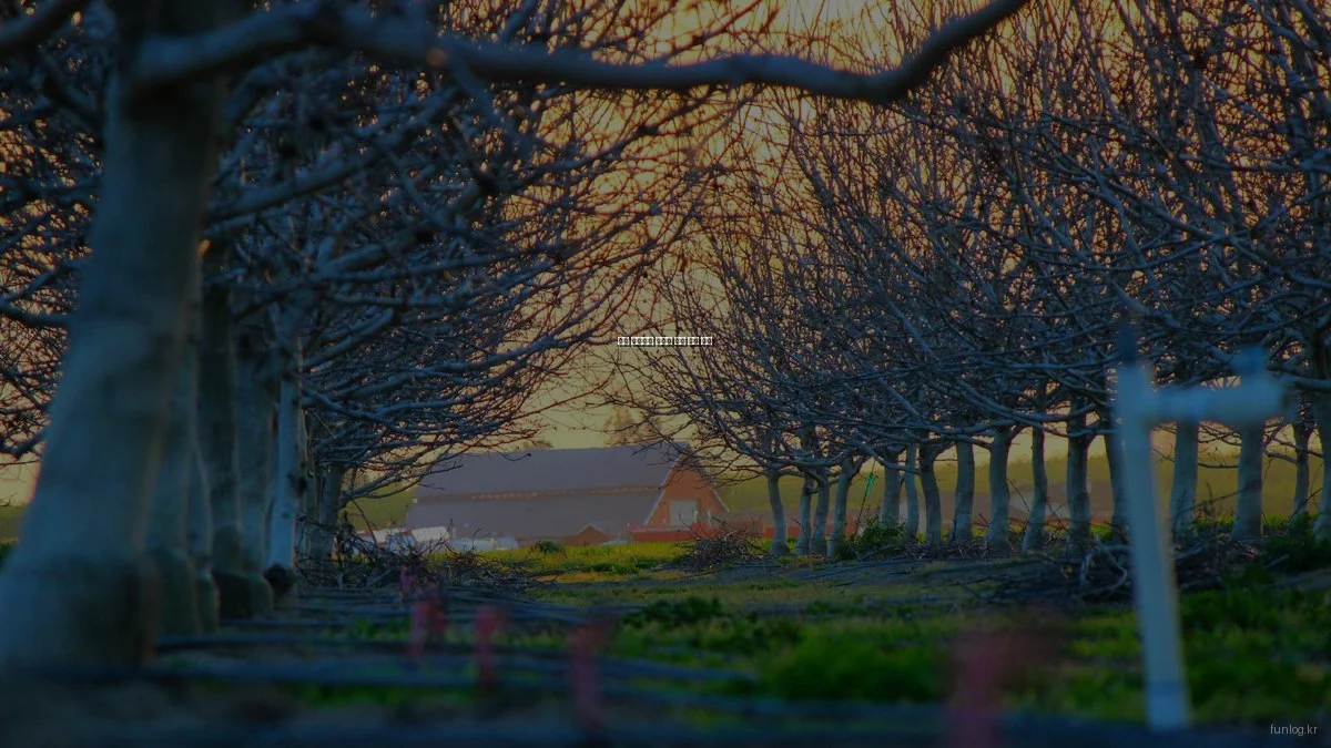 실패 사례에서 배우는 생활 꿀팁 모음