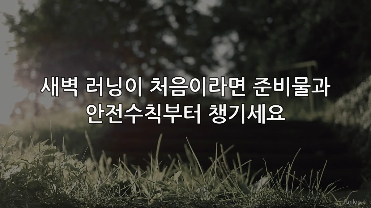 새벽 러닝이 처음이라면 준비물과 안전수칙부터 챙기세요