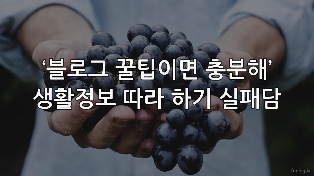 ‘블로그 꿀팁이면 충분해’ 생활정보 따라 하기 실패담