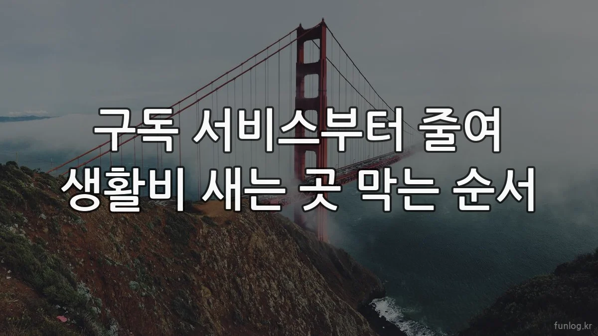 구독 서비스부터 줄여 생활비 새는 곳 막는 순서