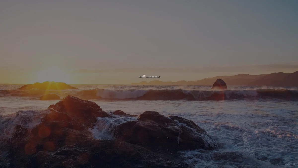 봄맞이 IT 솔루션 유지보수 가이드