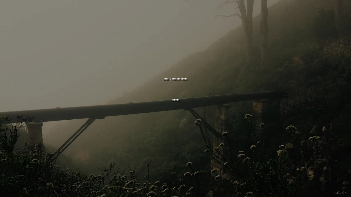 예산별 IT 솔루션 추천: 초보부터 전문가까지