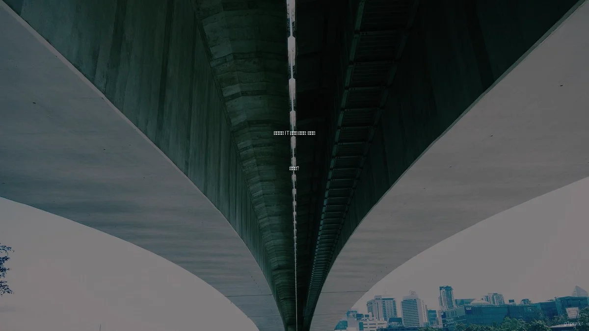 가격대별 IT 솔루션 가이드: 최고의 선택은?