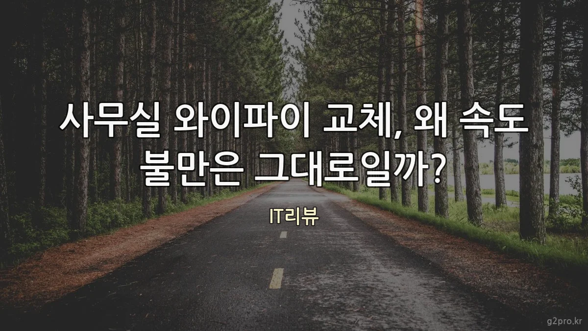 사무실 와이파이 교체, 왜 속도 불만은 그대로일까?