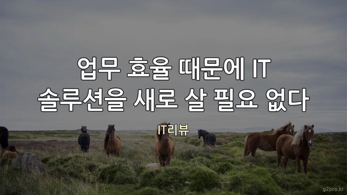 업무 효율 때문에 IT 솔루션을 새로 살 필요 없다
