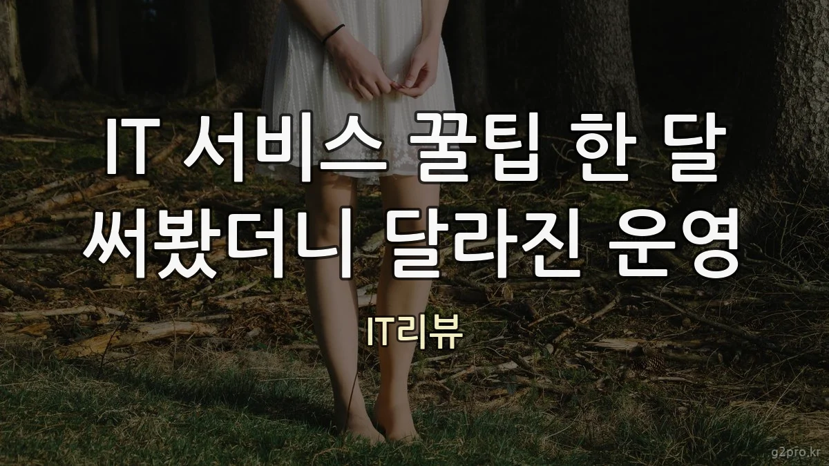 IT 서비스 꿀팁 한 달 써봤더니 달라진 운영