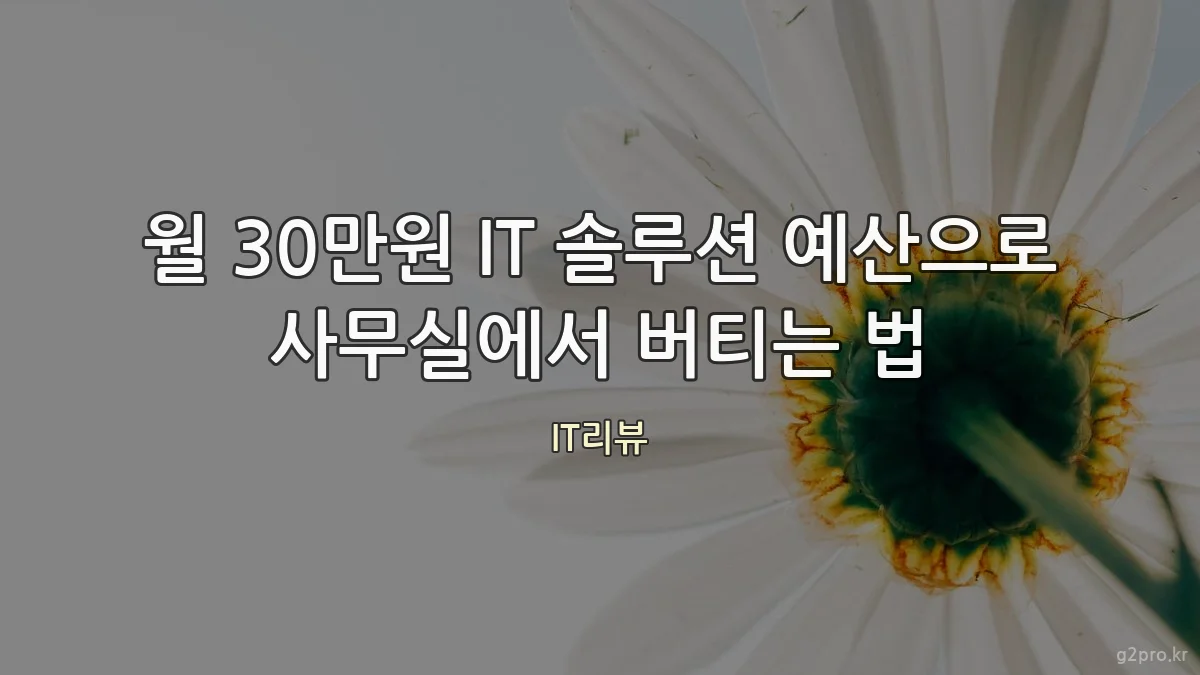 월 30만원 IT 솔루션 예산으로 사무실에서 버티는 법